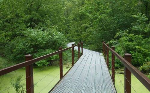 A metal walkway leads through lush green trees and vegetation, surrounded by a serene, overgrown landscape.