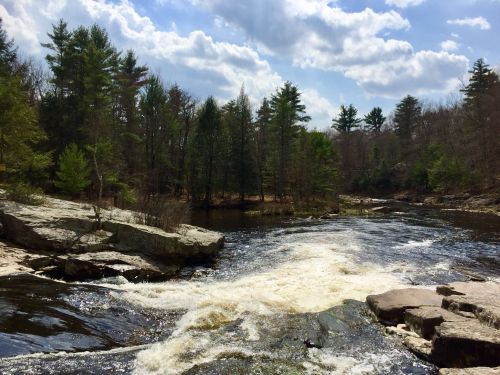 A serene river flows through a forested area, with rocky banks and a cloudy blue sky above.