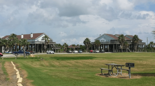 Two elevated houses on stilts surrounded by palm trees, with a grassy area and picnic table in the foreground.