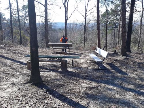 A person in an orange jacket sits on a bench in a wooded area, overlooking a distant view on a sunny day.