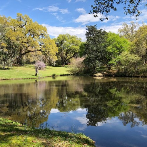 A serene pond surrounded by lush greenery and trees, reflecting the blue sky and clouds above.