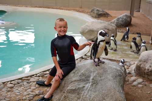 A smiling child in a wetsuit sits on a rock next to a penguin, with more penguins in the background by a pool.