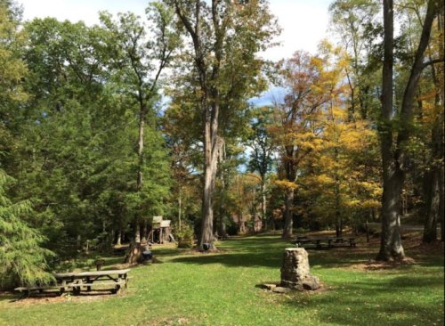 A serene forest scene with tall trees, colorful autumn leaves, and a stone structure on a grassy path.