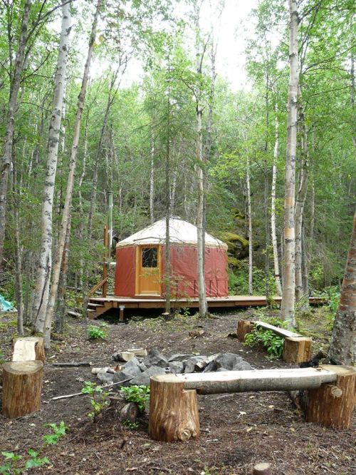 A cozy yurt surrounded by trees, with a wooden deck and log seating around a fire pit in a forested area.