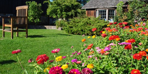 A vibrant garden filled with colorful flowers, a wooden chair, and a rustic cabin in the background.