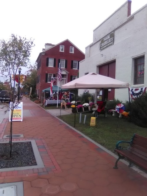 A street scene featuring a vendor tent, flowers, and patriotic decorations in a small town.