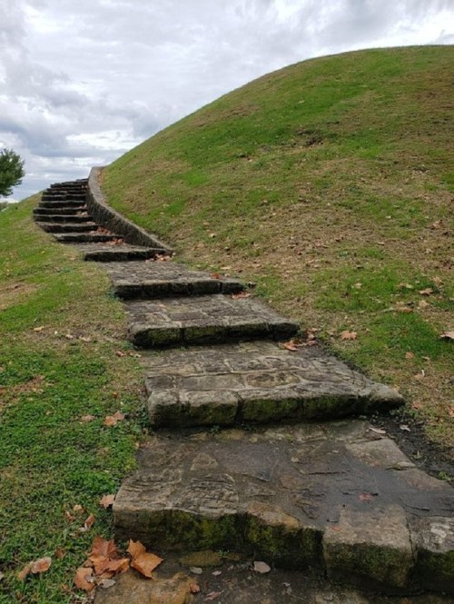 Stone steps lead up a grassy hill under a cloudy sky, surrounded by fallen leaves.