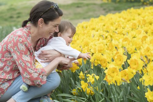 A woman and a toddler smile while reaching out to touch bright yellow daffodils in a garden.
