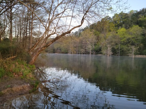 A serene lake surrounded by trees, with mist rising from the water and a gentle shoreline.