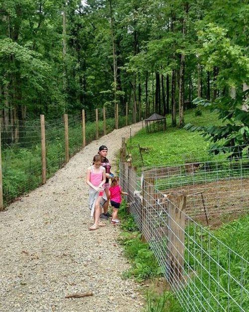 Two children and an adult stand by a fence on a gravel path in a wooded area, looking at something on the other side.