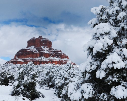 Snow-covered trees in the foreground with a red rock formation under a cloudy sky in the background.