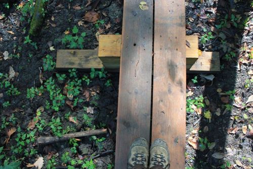 A pair of hiking boots stands on a wooden plank bridge over a forest floor covered in leaves and small plants.