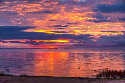 A vibrant sunset over a calm lake, with colorful clouds reflecting on the water and a duck swimming peacefully.