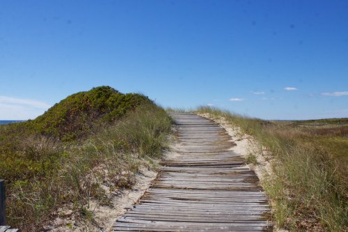A wooden boardwalk leads through tall grass and sand dunes under a clear blue sky.