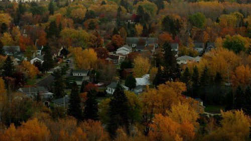 Aerial view of a neighborhood surrounded by vibrant autumn foliage in shades of orange, yellow, and red.