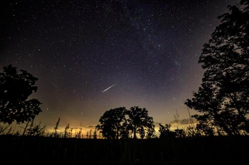 A starry night sky with a shooting star and silhouetted trees in the foreground.