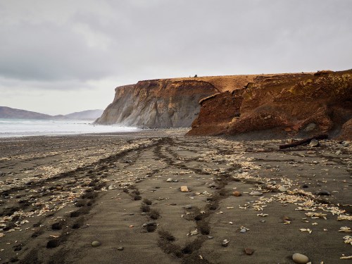 Footprints and tire tracks on a sandy beach, with cliffs and a cloudy sky in the background.