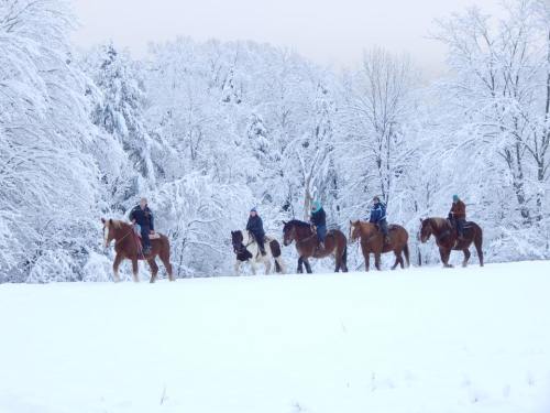 A group of riders on horseback traverses a snowy landscape, surrounded by frosted trees.