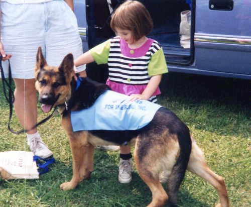 A young girl in a striped shirt pets a German Shepherd wearing a blue vest, standing on grass near a car.