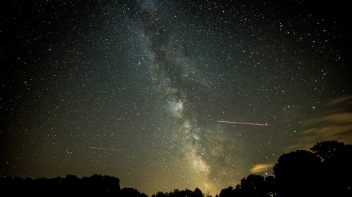 A stunning night sky filled with stars and the Milky Way, framed by silhouettes of trees below.