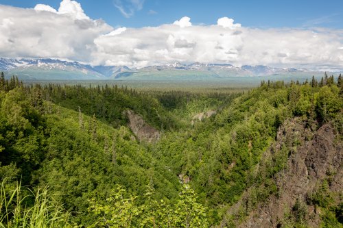 A lush green valley surrounded by mountains under a blue sky with fluffy clouds.