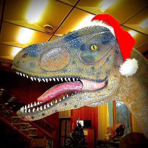 A dinosaur head wearing a red Santa hat, set in a festive indoor environment with holiday decorations.