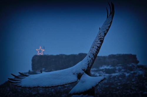 A snowy eagle sculpture in the foreground with a glowing star in the background against a dark, wintry sky.