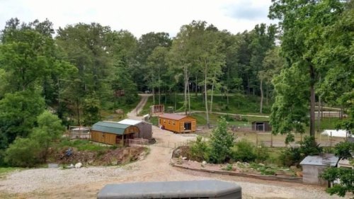 A scenic view of a wooded area with a dirt road, small buildings, and fenced enclosures in a rural setting.
