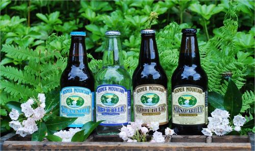 Four bottles of soda—cream soda, birch beer, root beer, and sarsaparilla—displayed on a wooden crate with greenery.