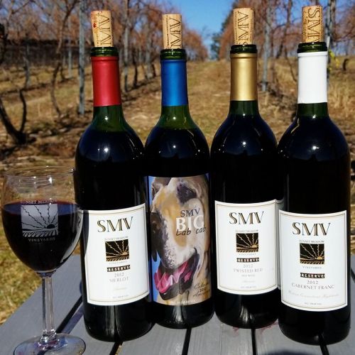 Four bottles of wine with a glass, set against a vineyard backdrop. Labels feature various wine types and a dog photo.