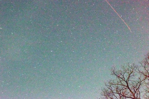 A starry night sky with scattered stars and a faint trail of light, framed by the silhouette of a bare tree.