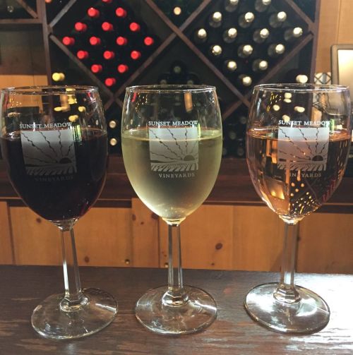 Three wine glasses filled with red, white, and rosé wine, displayed against a backdrop of wine bottles.