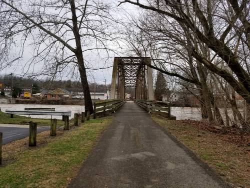 A view of a bridge over a flooded area, surrounded by bare trees and a cloudy sky.
