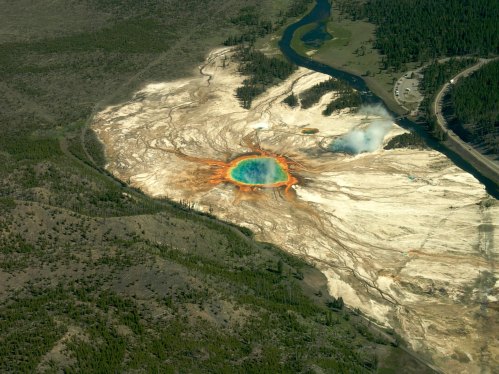 Aerial view of the colorful Grand Prismatic Spring surrounded by a forested landscape in Yellowstone National Park.