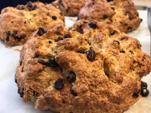 Freshly baked scones with raisins, golden brown and textured, resting on parchment paper.