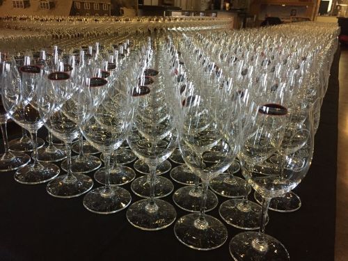 A large arrangement of sparkling wine glasses lined up in neat rows on a table.