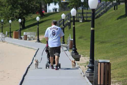 A person in a baseball jersey walks two dogs along a paved path by the beach, pushing a stroller.