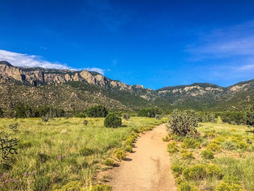 A dirt path winds through a grassy landscape, with mountains and a clear blue sky in the background.