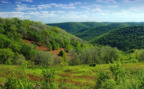 Lush green hills under a blue sky with scattered clouds, showcasing a vibrant landscape of trees and valleys.