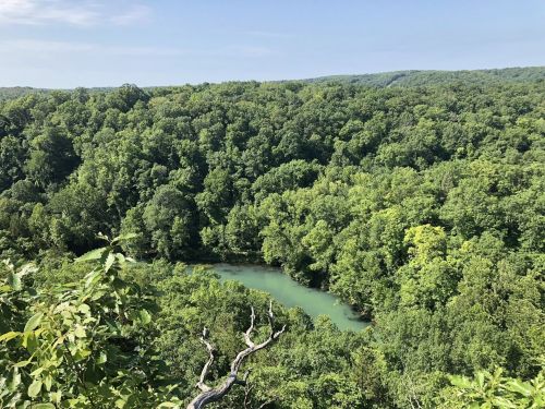 A lush green landscape with a winding river surrounded by dense trees under a clear blue sky.