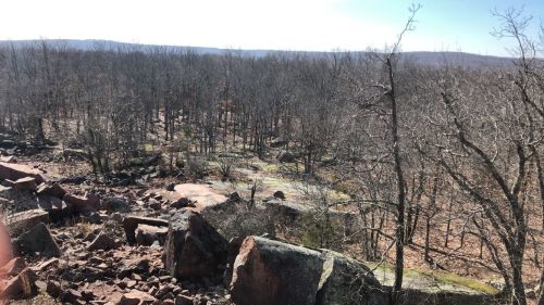 A rocky landscape with bare trees and distant hills under a clear blue sky.