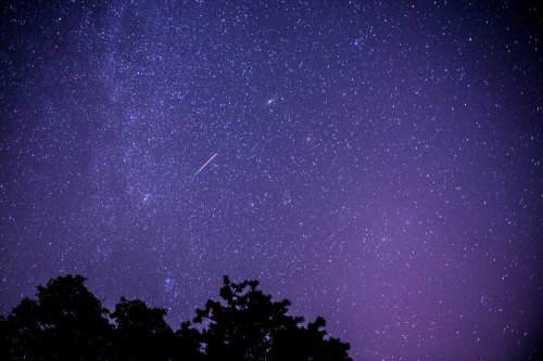 A starry night sky filled with stars and a faint meteor streaking across, silhouetted by tree tops below.