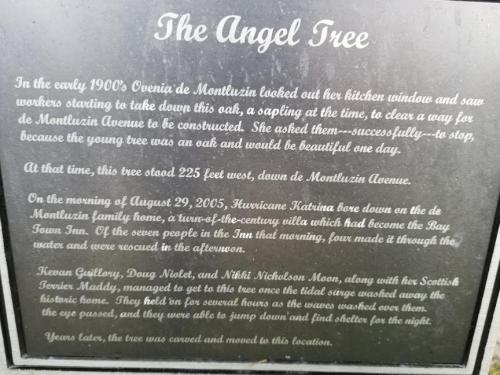 A plaque titled "The Angel Tree" recounts a historical event in Montluizin, detailing a tree's significance and a storm's impact.