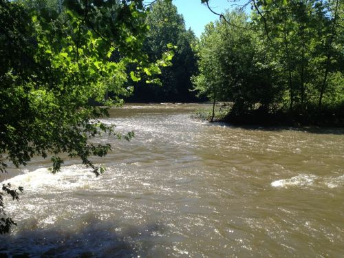 A winding river flows through a lush green landscape, surrounded by trees under a clear blue sky.