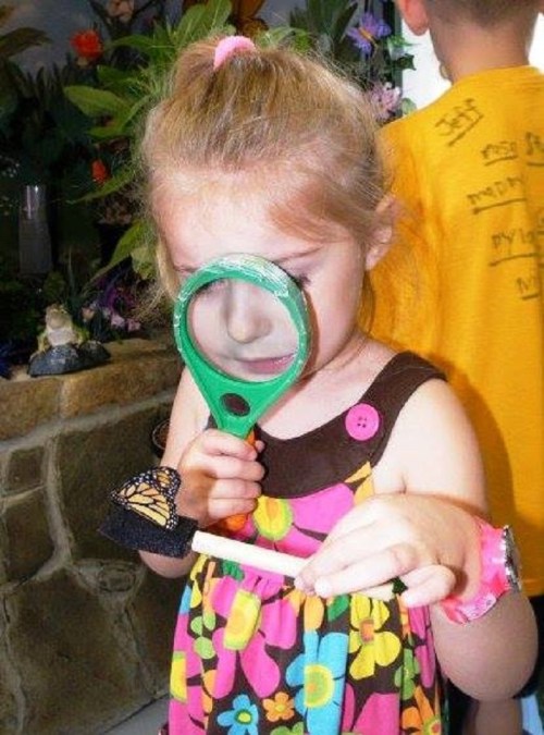 A young girl in a colorful dress examines a butterfly with a magnifying glass, surrounded by plants and decorations.
