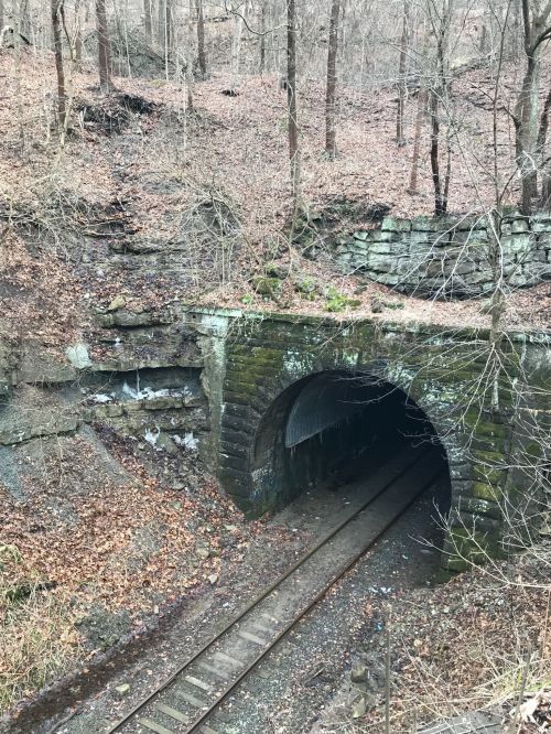 A moss-covered tunnel entrance surrounded by bare trees and fallen leaves, with railway tracks leading inside.