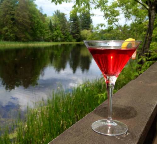 A vibrant red cocktail in a martini glass sits on a wooden railing, with a serene pond and greenery in the background.