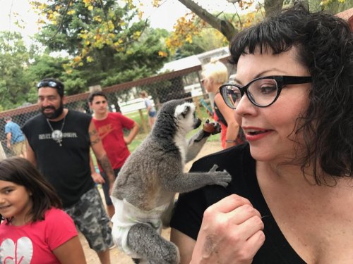 A woman with glasses smiles at a lemur reaching for food, surrounded by people in a park setting.