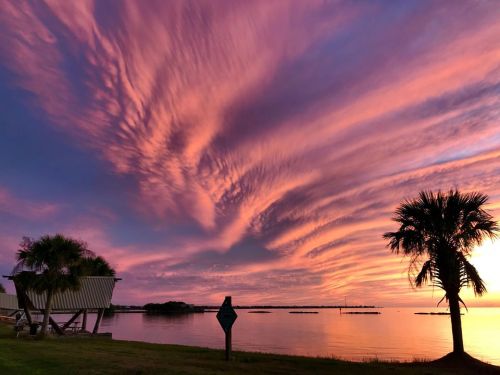 Vibrant sunset with swirling clouds over calm water, framed by palm trees and a silhouette of a building.