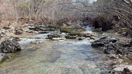A serene stream flows over rocky beds, surrounded by bare trees and a peaceful natural landscape.